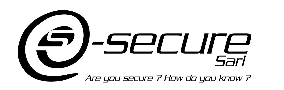 esecure2013_sarl_1200pxN.PNG